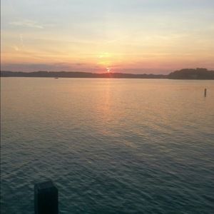 Meet your Posher, Anne